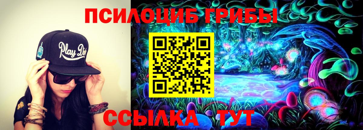Галлюциногенные грибы Cubensis Ленинск-Кузнецкий