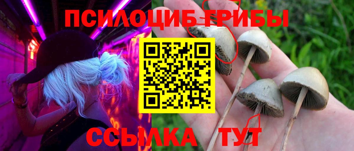 Галлюциногенные грибы Cubensis  закладка  Ленинск-Кузнецкий  Вход с VPN  Галлюциногенные грибы Cubensis 
